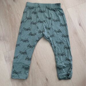 Kate Quinn grasshopper pants